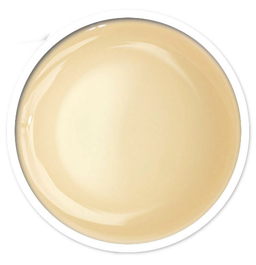 ANPRO Gel Base 30ml