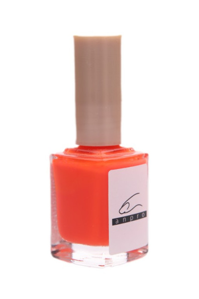 ANPRO Lak reflexní 12ml N1