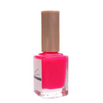 ANPRO Lak reflexní 12ml N