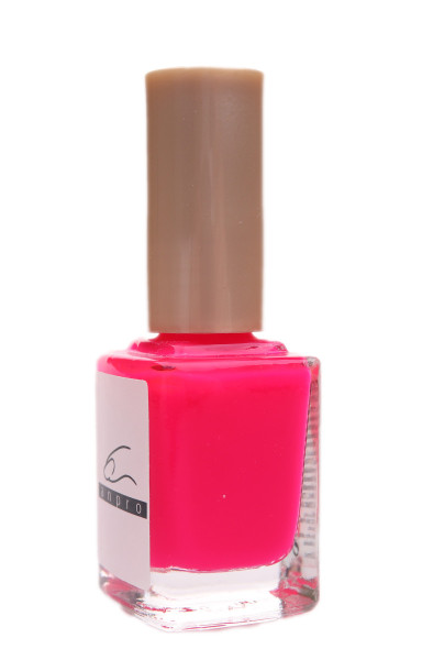 ANPRO Lak reflexní 12ml N
