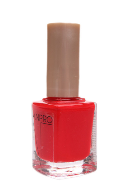 ANPRO Lak 12ml 134