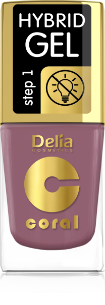 Delia Cosmetic Lak Hybrid gel 11ml 69