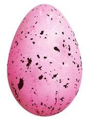 Topnails UV Gel barevný  5g Crazy Egg Pink