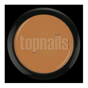 Topnails UV Gel barevný Nude collection 5g 04