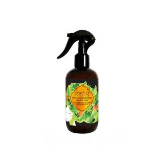 Ryor Urychlovač růstu vlasů - 3 měsíční kúra 250ml